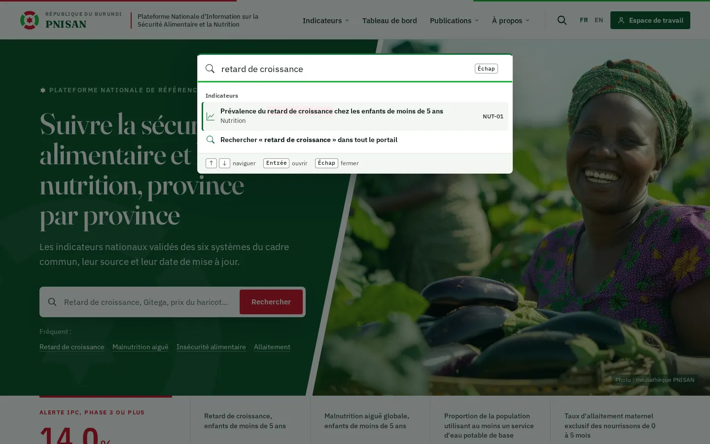 Fenêtre Recherche rapide ouverte